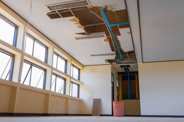 Best Sewage cleanup and water damage restoration  in Earlington, KY
