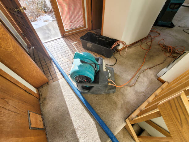 Best Fire Damage Restoration  in Earlington, KY