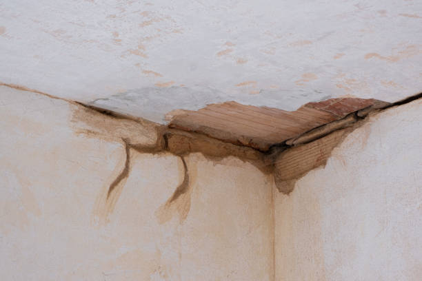 Best Basement water damage restoration  in Earlington, KY