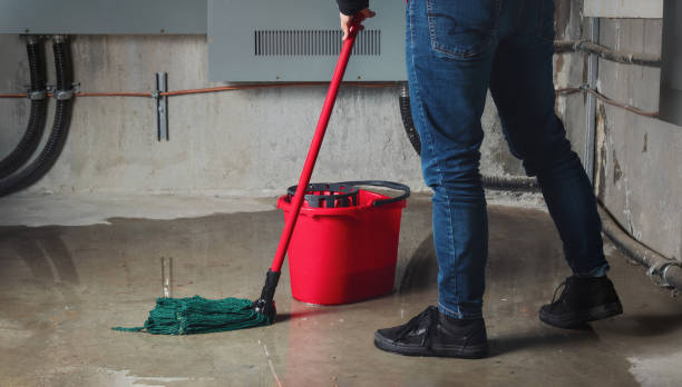 Best 24/7 water damage repair  in Earlington, KY