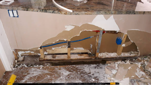 Best Flood damage cleanup  in Earlington, KY