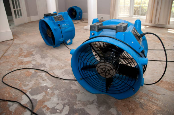 Best Water damage restoration near me  in Earlington, KY