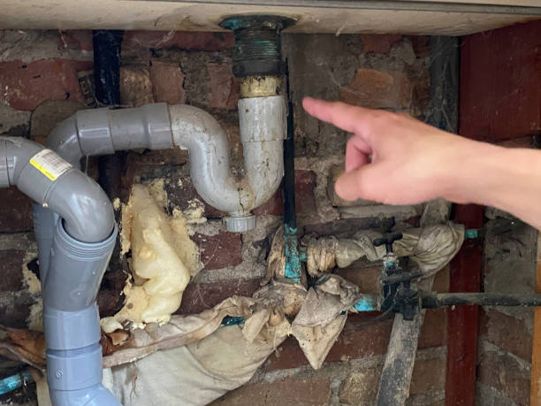 Best Water damage restoration process  in Earlington, KY