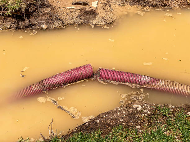 Best Basement water damage restoration  in Earlington, KY